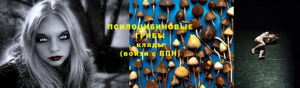 сатива Покровск