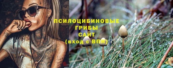 прущая мука Армянск