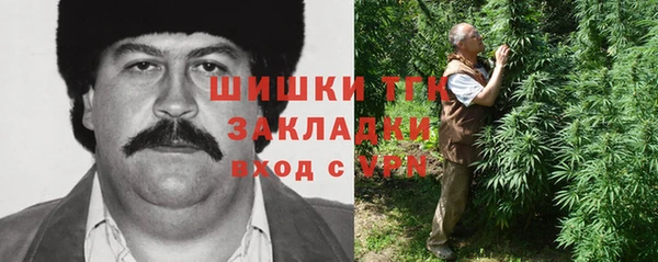 амф Аркадак