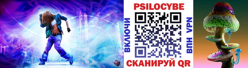 дарк нет официальный сайт Мамадыш Псилоцибиновые грибы GOLDEN TEACHER